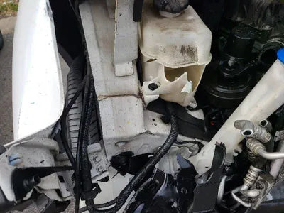 2017 Hyundai Santa FE KMHSW81UBJU839596 VIN:KMHSW81UBJU839596