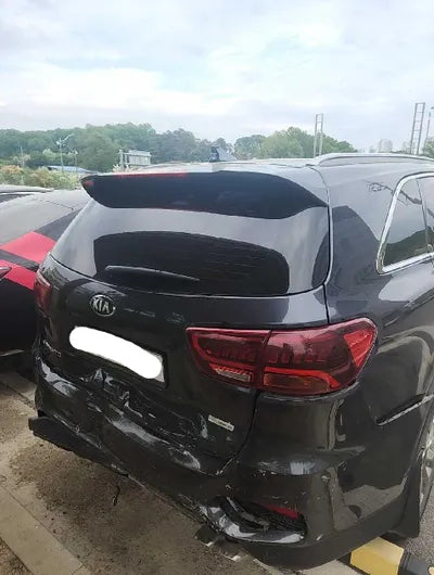 2019 Kia Sorento KNAPS81BBKA508210 VIN:KNAPS81BBKA508210