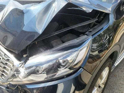 2019 Kia Sorento KNAPK81BBLA562518 VIN:KNAPK81BBLA562518