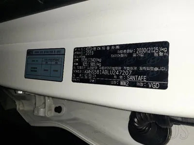 2019 Hyundai Santa FE KMHS581ABLU247207 VIN:KMHS581ABLU247207