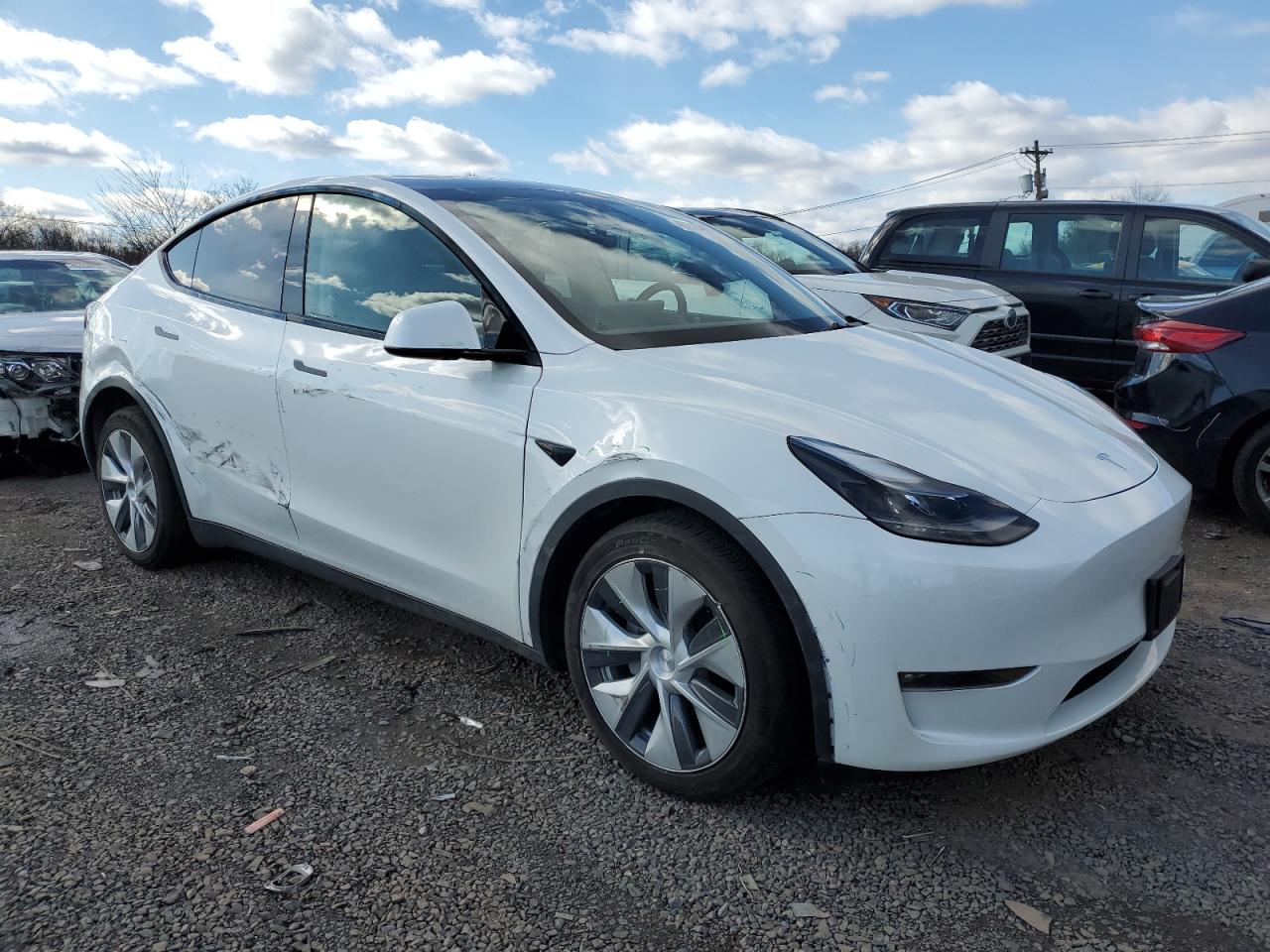 2023 TESLA MODEL Y  VIN:7SAYGDEE7PF674655
