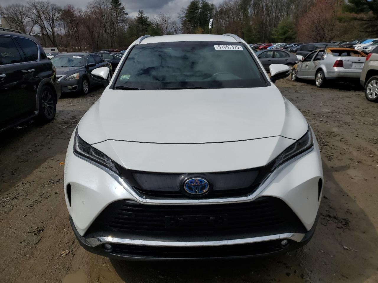 2023 TOYOTA VENZA LE VIN:JTEAAAAH3PJ141947