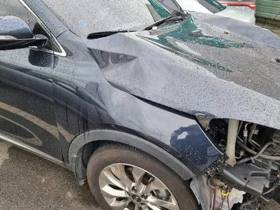 2017 Kia Sorento KNAPS81BBJA405834 VIN:KNAPS81BBJA405834