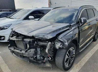 2019 Hyundai Santa FE KMHS381ABKU120945 VIN:KMHS381ABKU120945