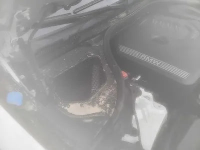 2022 BMW 520 WBA11BH07NWX61921 VIN:WBA11BH07NWX61921