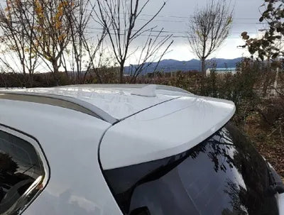 2019 Hyundai Santa FE KMHS381CDKU015039 VIN:KMHS381CDKU015039
