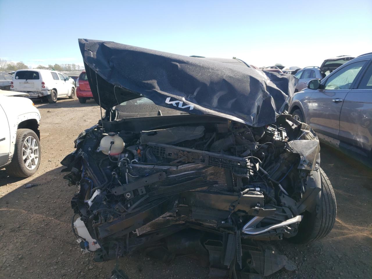 2023 KIA SPORTAGE EX VIN:5XYK33AF2PG030299