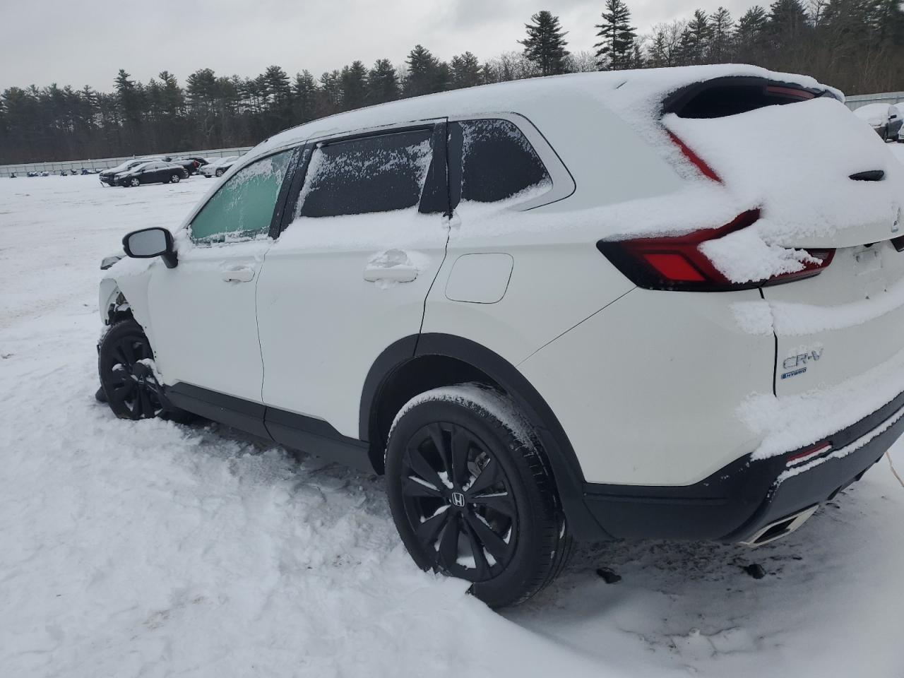2023 HONDA CR-V SPORT TOURING VIN:7FARS6H94PE026981