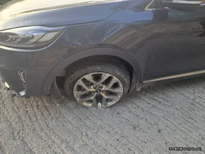 2020 Kia Sorento KNAPH81ABLA648019 VIN:KNAPH81ABLA648019