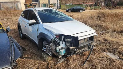 2020 Hyundai Kona KMHK4815GLU653352 VIN:KMHK4815GLU653352