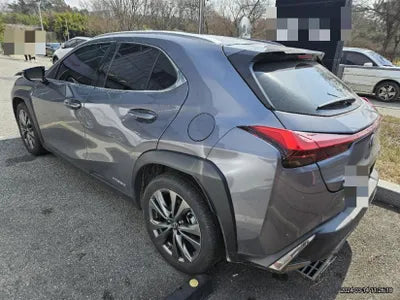 2021 Lexus UX 250 JTHR6JBH4M2103204 VIN:JTHR6JBH4M2103204