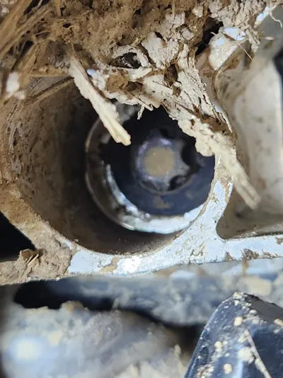 2019 Mercedes-Benz S 560 WDDUG8GB0KA495984 VIN:WDDUG8GB0KA495984