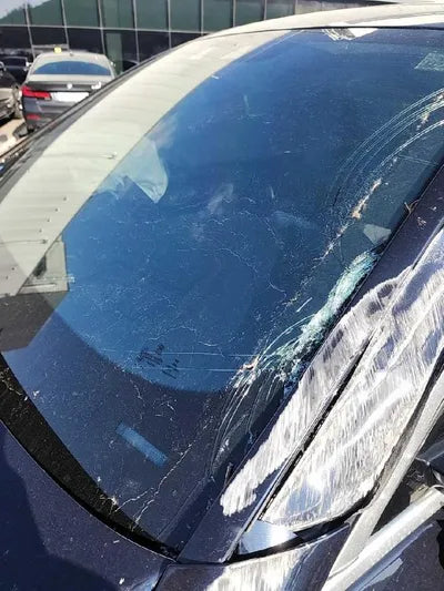 2019 BMW 520 WBAJF3108KBJ09099 VIN:WBAJF3108KBJ09099