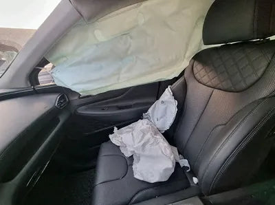 2021 Hyundai Santa FE KMHS381LGMU412456 VIN:KMHS381LGMU412456