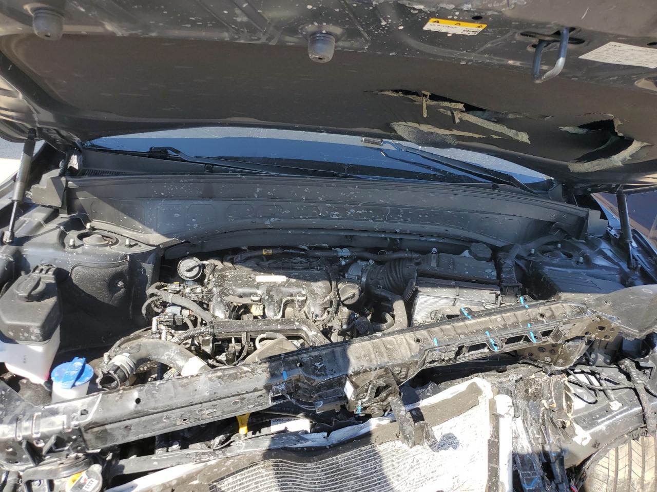 2022 KIA TELLURIDE EX VIN:5XYP3DHC5NG314546