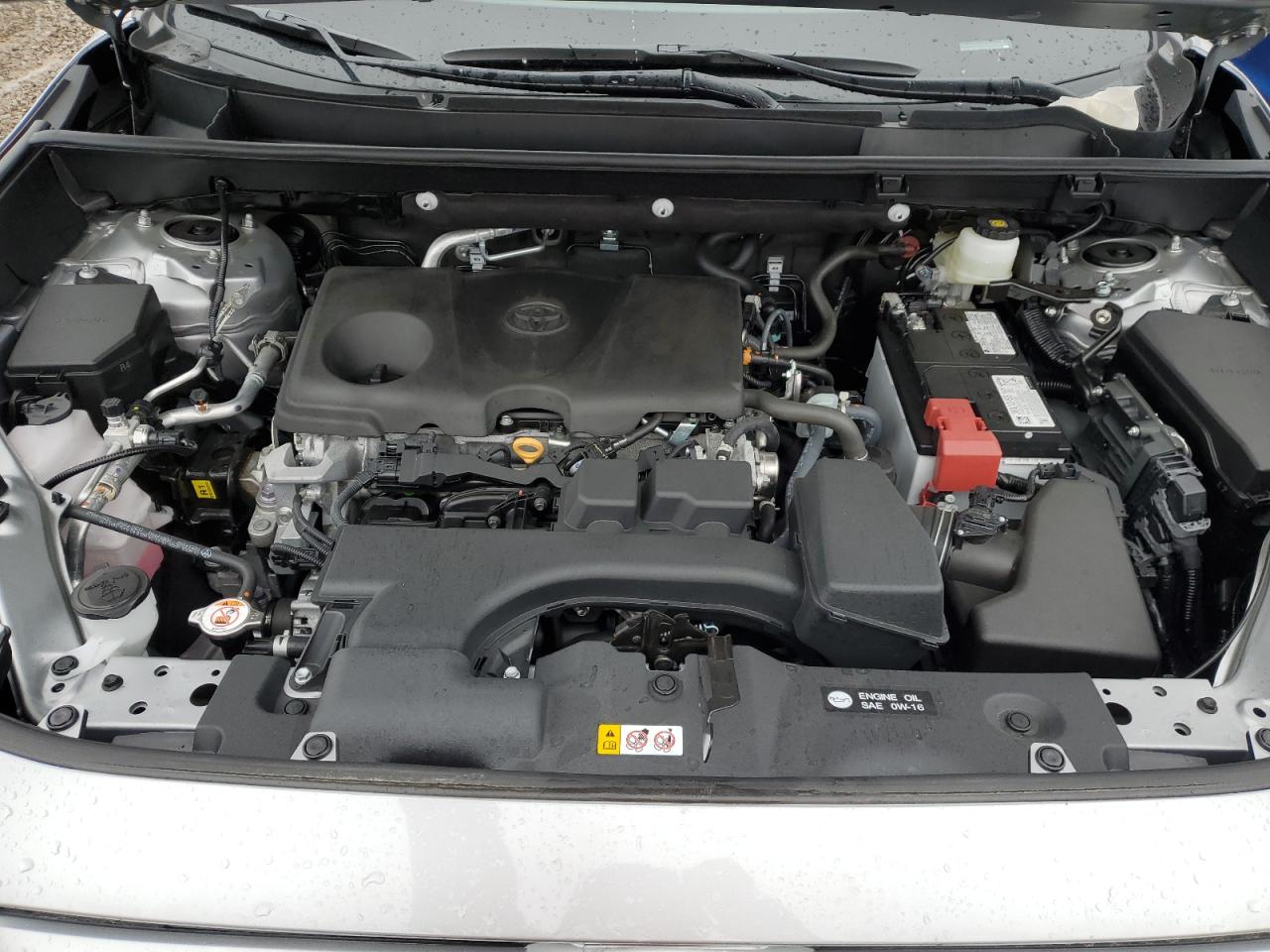2024 TOYOTA RAV4 XLE VIN:2T3P1RFV0RW462621