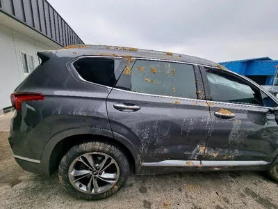 2019 Hyundai Santa FE VIN: