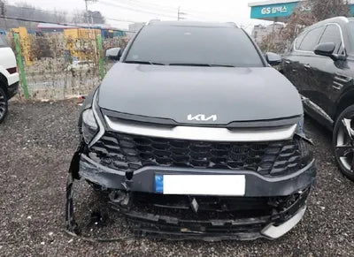 2023 Kia Sportage KNAPV81BGPK126724 VIN:KNAPV81BGPK126724