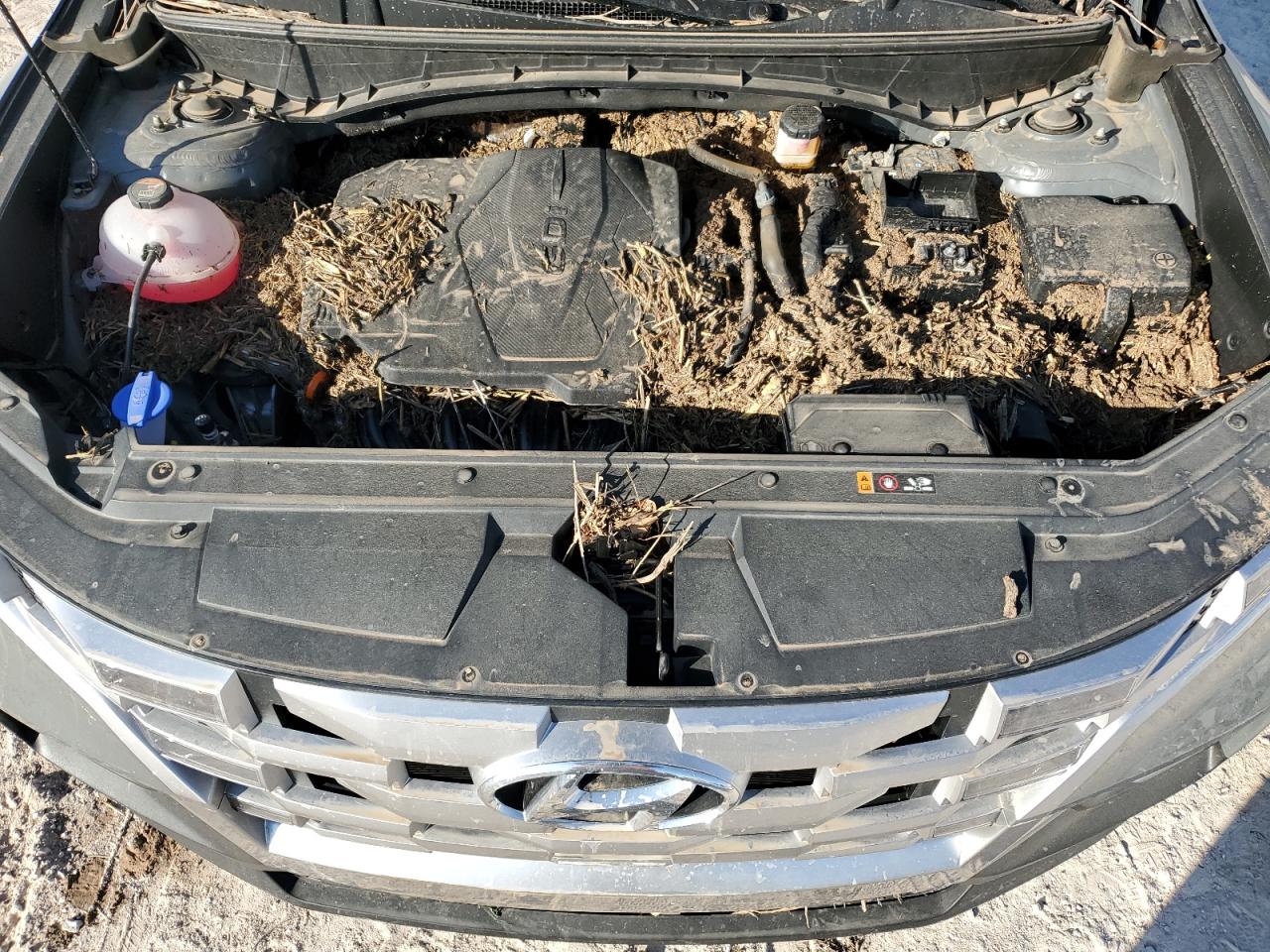 2024 HYUNDAI SANTA CRUZ SEL VIN:5NTJBDDE8RH109934