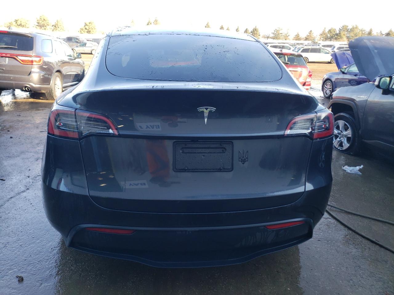 2024 TESLA MODEL Y  VIN:7SAYGDED3RF051964
