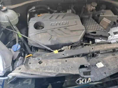2019 Kia Sportage KNAPL812GKK737170 VIN:KNAPL812GKK737170