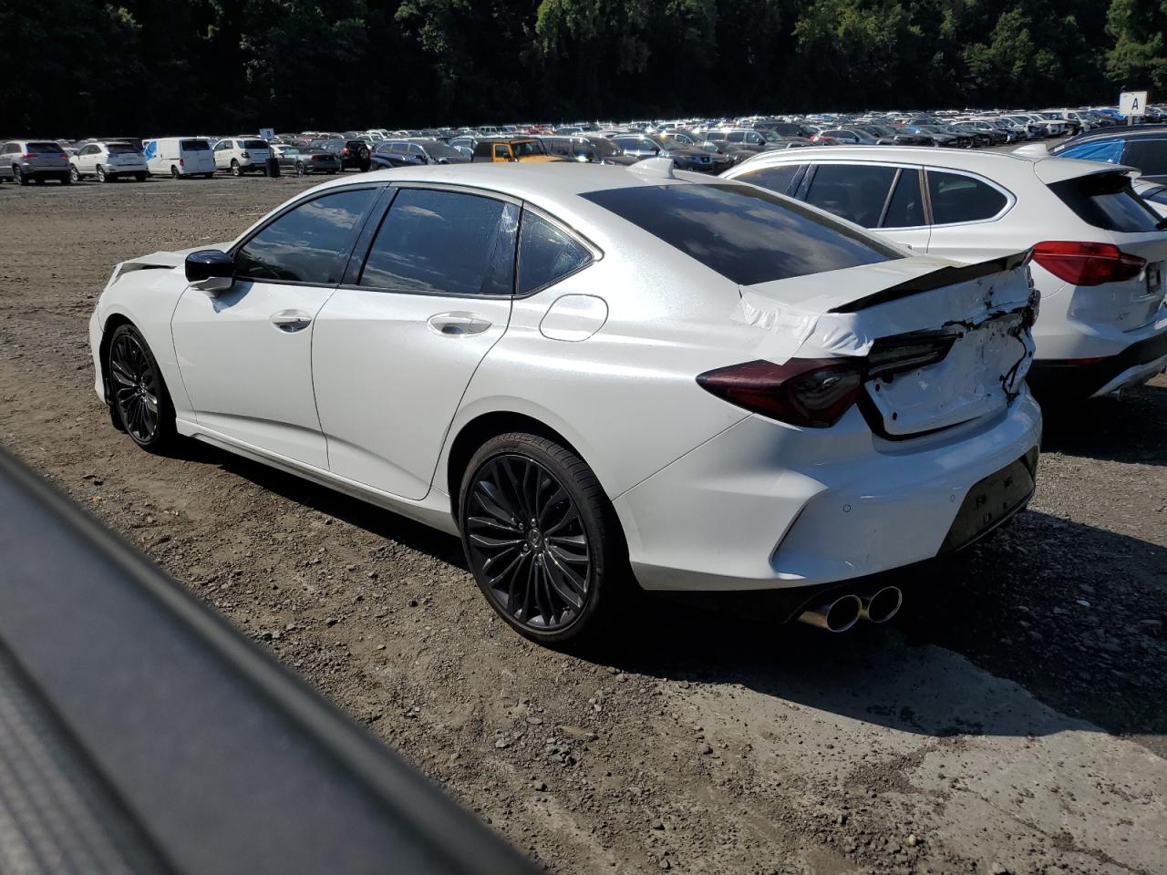 2023 ACURA TLX TYPE S PMC EDITION VIN:19UUB7F05PA002103