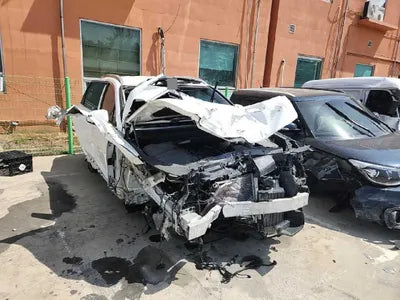 2021 Hyundai Santa FE KMHS381HGMU344096 VIN:KMHS381HGMU344096