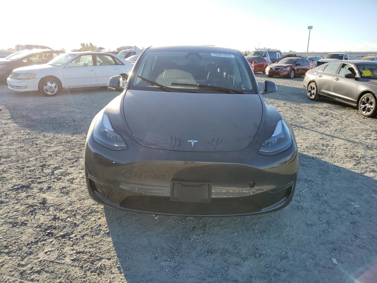 2024 TESLA MODEL Y  VIN:7SAYGDEE6RF118100