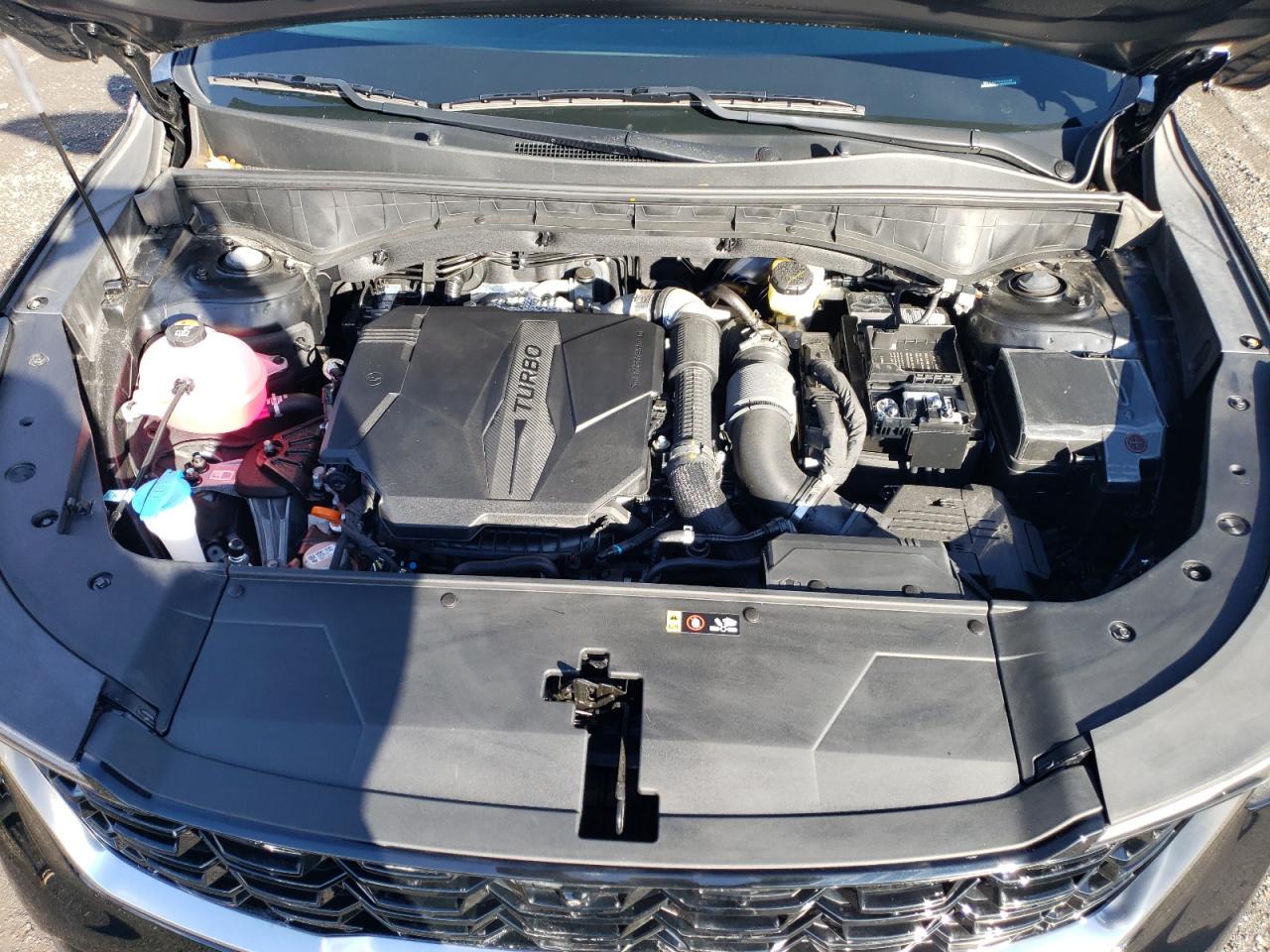 2024 KIA SORENTO SX VIN:5XYRK4JF7RG264688