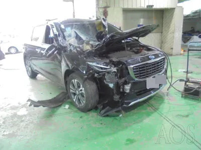 2020 Kia Carnival KNAMB81ABLS651655 VIN:KNAMB81ABLS651655