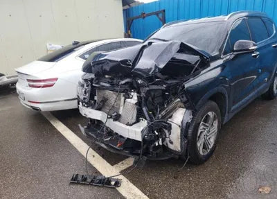 2021 Hyundai Santa FE KMHS381HGMU346731 VIN:KMHS381HGMU346731