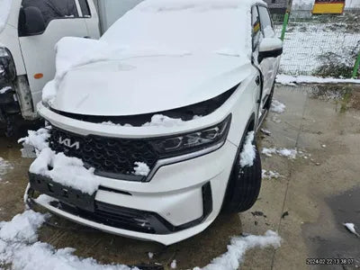 2022 Kia Sorento KNARL81GBNA112583 VIN:KNARL81GBNA112583
