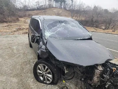 2017 Kia Carnival VIN: