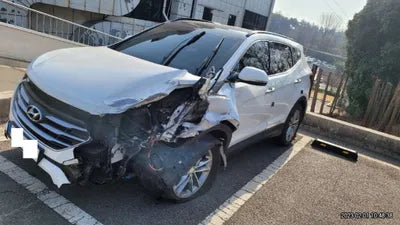 2017 Hyundai Santa FE KMHSW81UBHU737718 VIN:KMHSW81UBHU737718