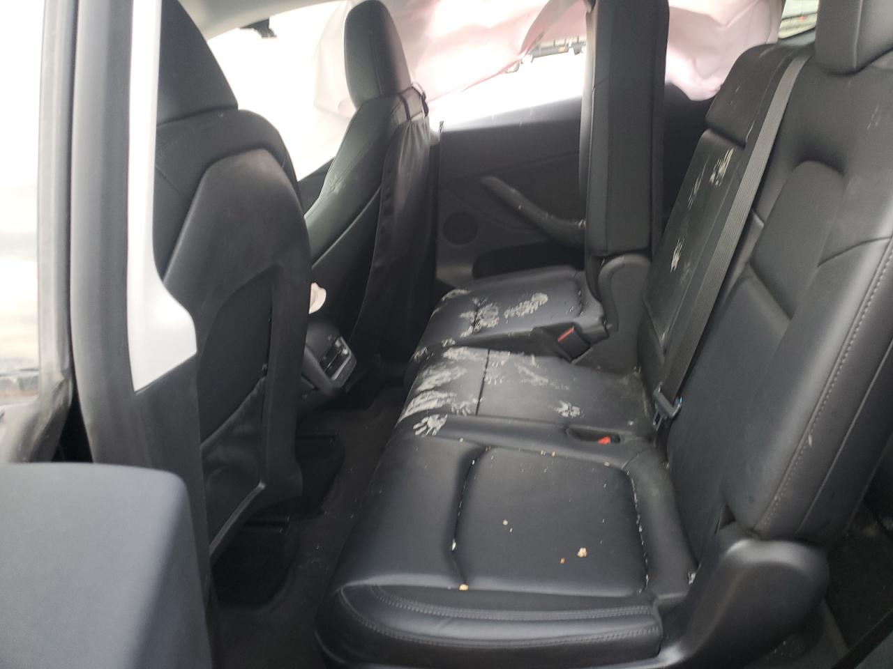 2023 TESLA MODEL Y  VIN:7SAYGAEE8PF772964