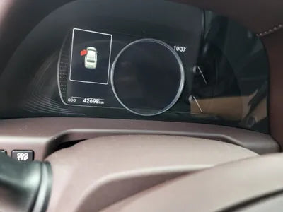 2019 Lexus ES 300 VIN:
