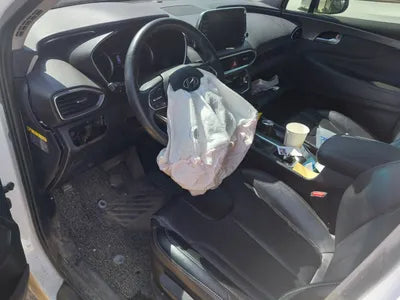 2020 Hyundai Santa FE KMHS281BDLU246600 VIN:KMHS281BDLU246600