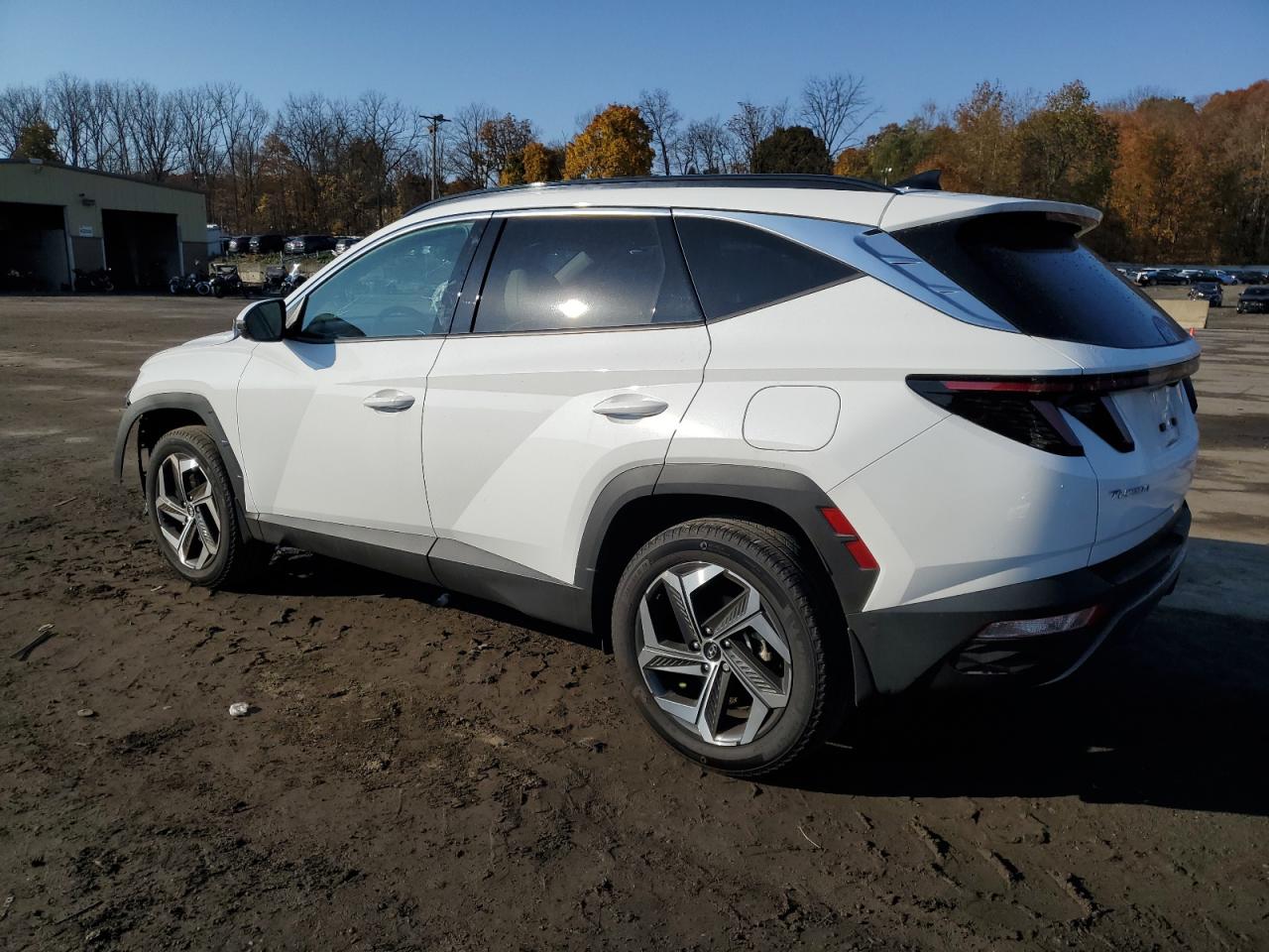 2024 HYUNDAI TUCSON LIMITED VIN:5NMJECDEXRH295036