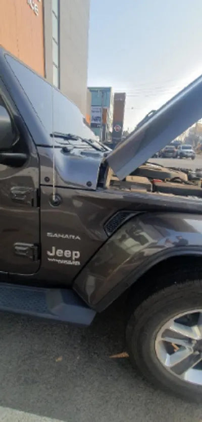 2018 Jeep Wrangler 1C4HJXEN8JW267494 VIN:1C4HJXEN8JW267494