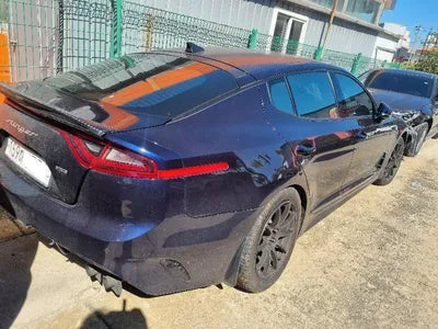 2019 Kia Stinger KNAE251ABLS079352 VIN:KNAE251ABLS079352