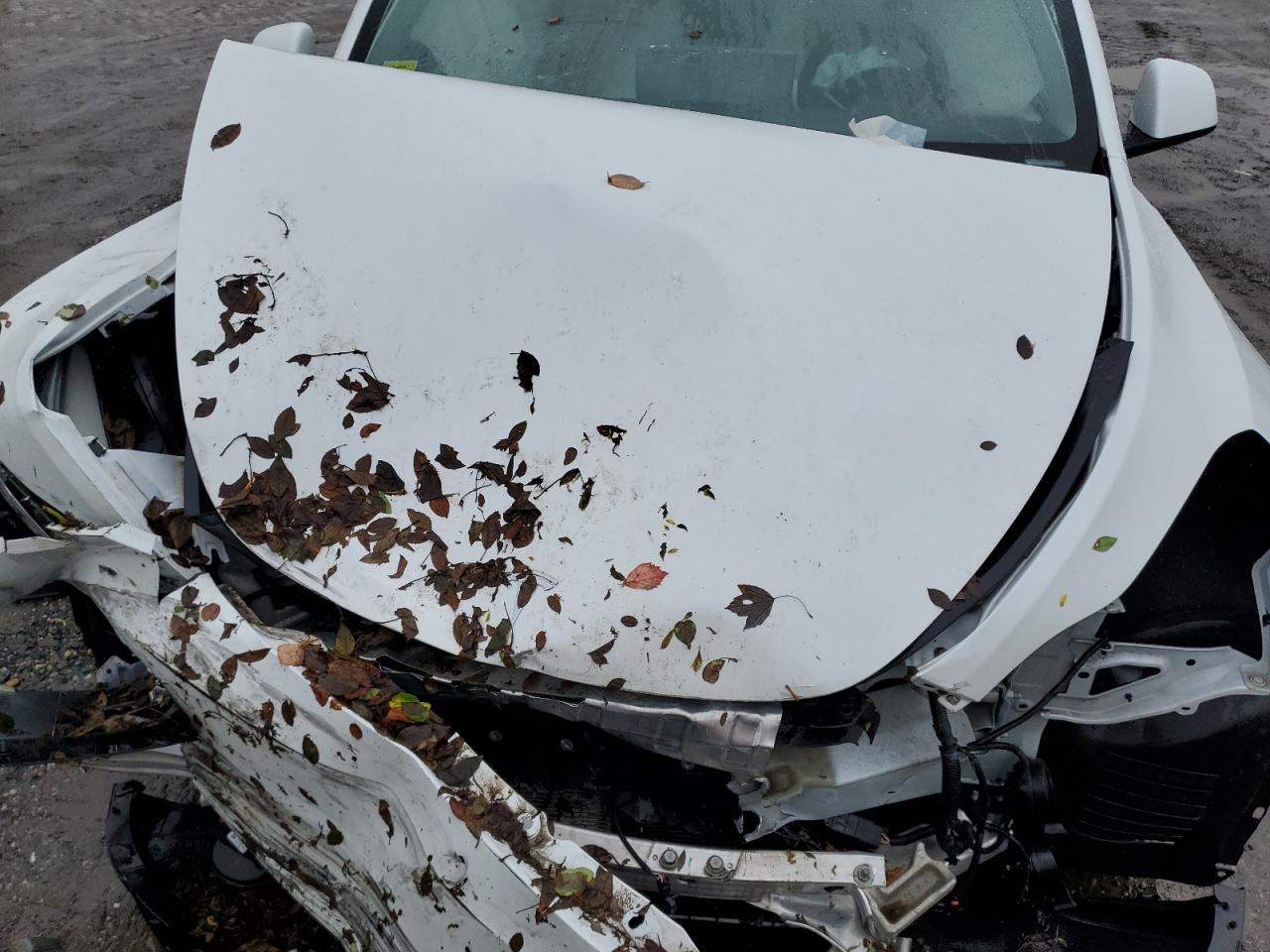 2022 TESLA MODEL Y  VIN:7SAYGDEF9NF523483