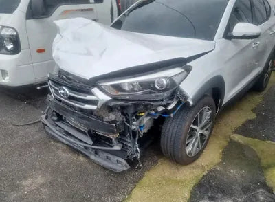 2017 Hyundai Tucson KMHJ381ABHU402409 VIN:KMHJ381ABHU402409