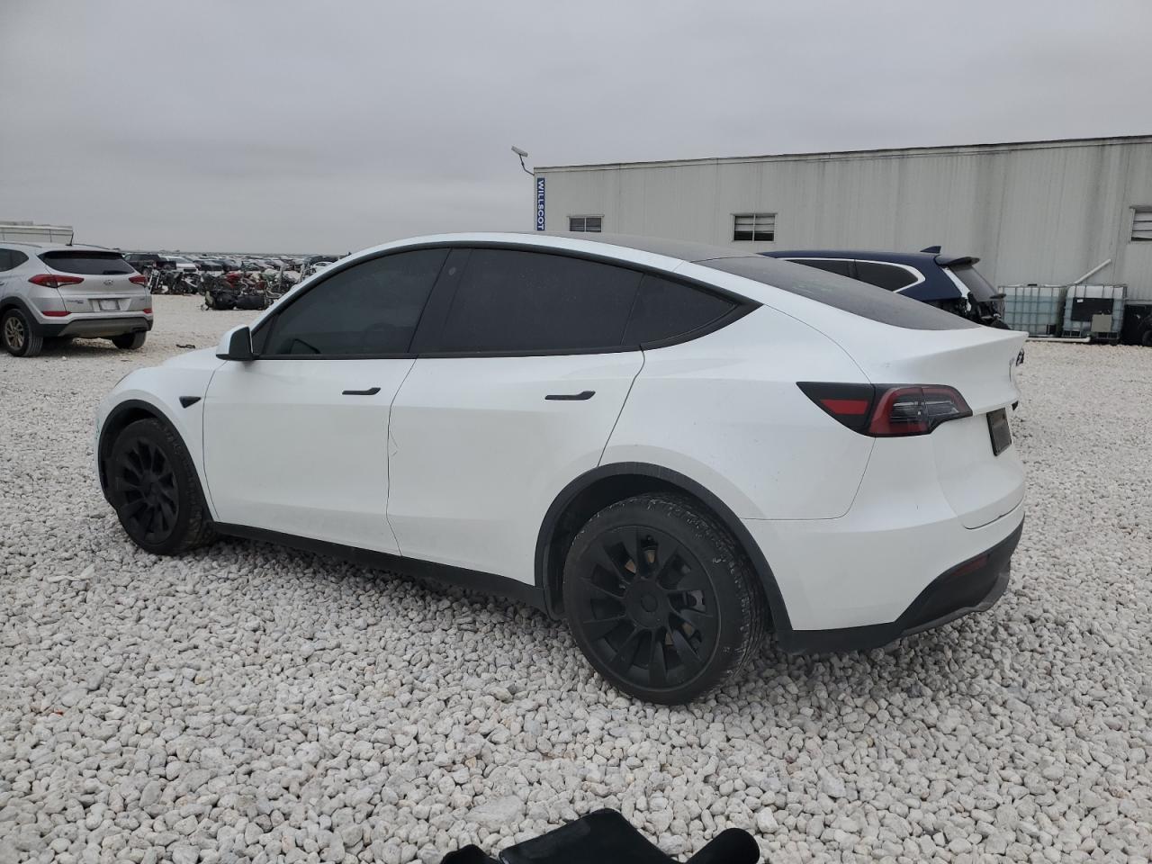 2023 TESLA MODEL Y  VIN:7SAYGDEE0PA070104