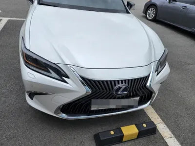 2019 Lexus ES 300 VIN: