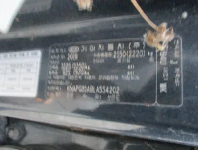 2020 Kia Sorento KNAPG81ABLA554202 VIN:KNAPG81ABLA554202