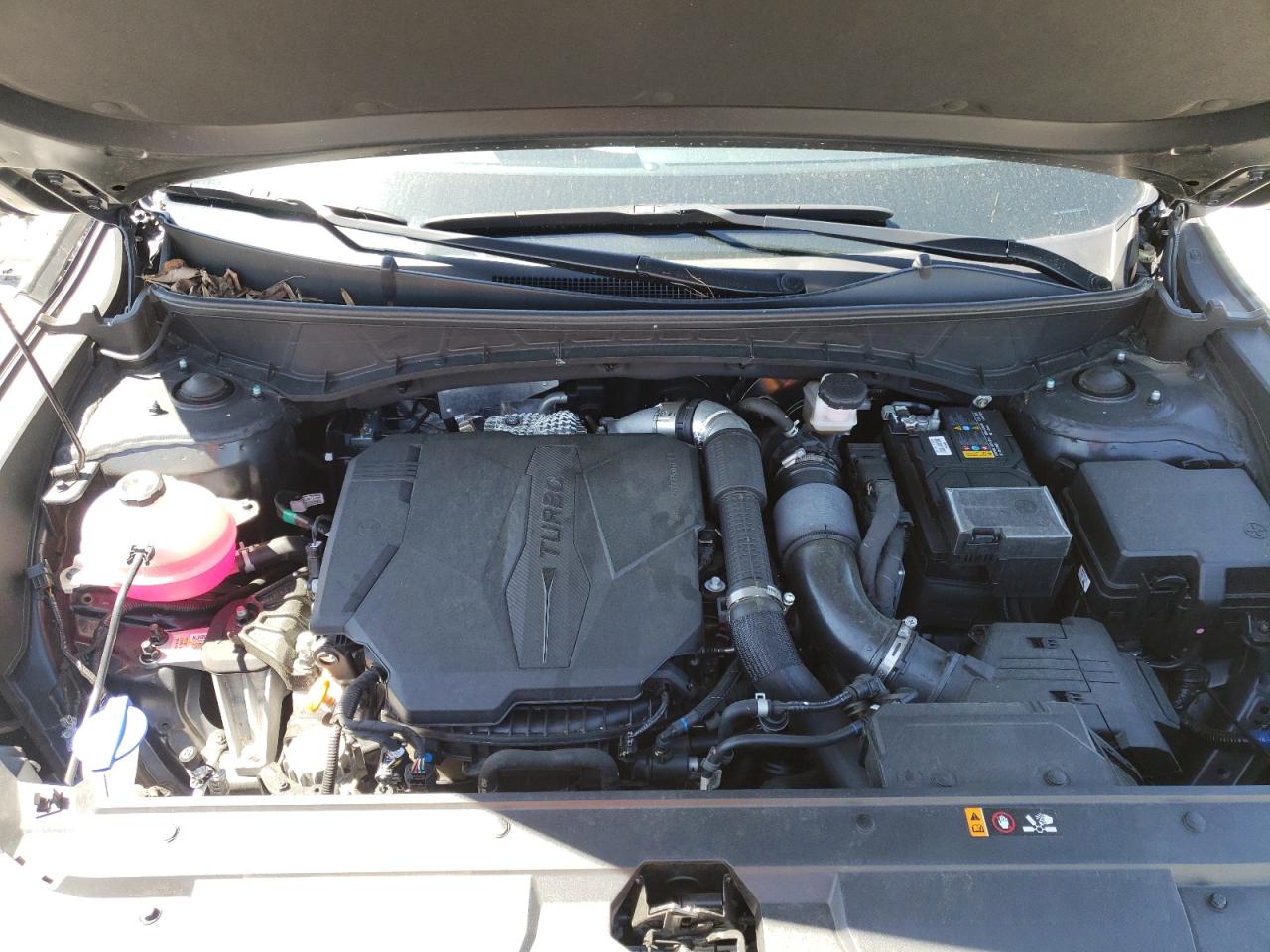 2023 HYUNDAI SANTA CRUZ LIMITED VIN:5NTJEDAF6PH046723
