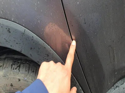 2019 Hyundai Santa FE KMHS281BBKU160055 VIN:KMHS281BBKU160055