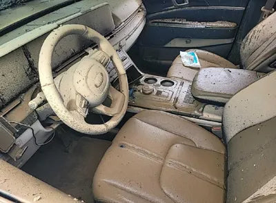 2021 Kia Carnival KNANE813BMS077926 VIN:KNANE813BMS077926
