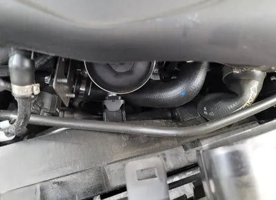 2021 Mercedes-Benz GLC 300 W1N0J5DBXMF904956 VIN:W1N0J5DBXMF904956