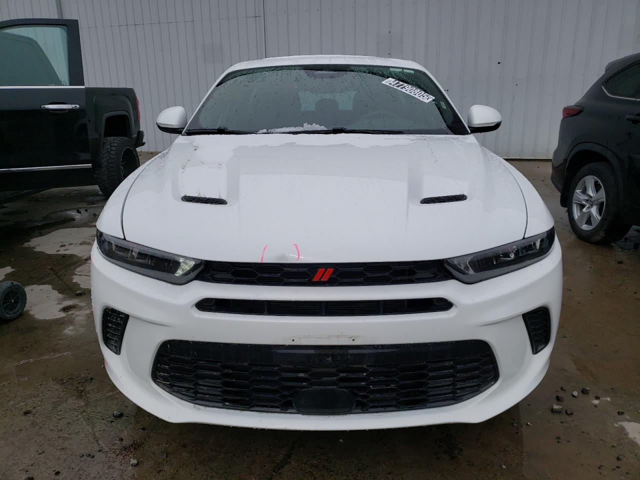 2024 DODGE HORNET R/T VIN:ZACPDFCW8R3A28813